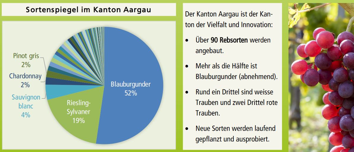 Weinbau im Aargau 2020; liebegg.ch, Stand: November 2020.